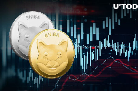 SHIB Price Acts Impressive Amid 13 Trillion Shiba Inu Token Transfer