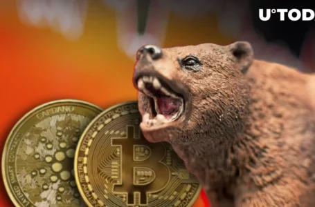 Bitcoin (BTC), Cardano (ADA): Crypto Capital Founder Predicts Bulls’ Return Based on This One Thing