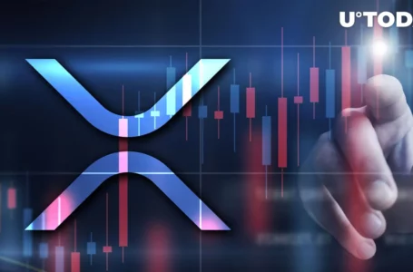 XRP up 28% in Trading Volume Amid Major Inflation Report