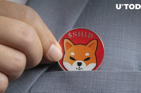 Shiba Inu Sustains Surprising Trend in Holder Base, Here’s Why It’s Significant