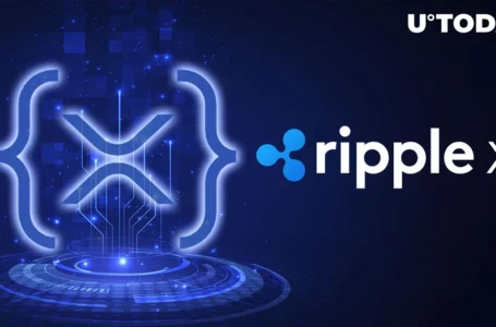 RippleX Announces Recipients of $2.6 Million XRPL Grant: Details