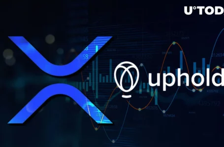XRP’s Most Surprising Price Prediction Shared by Uphold Head of Research: Details