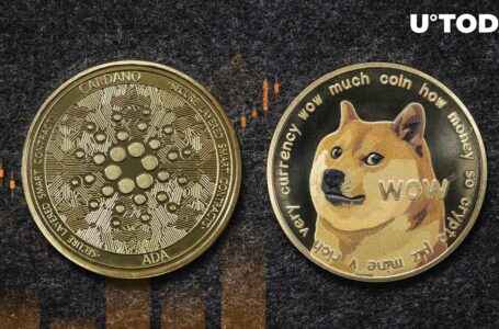 Cardano Beats Dogecoin (DOGE) in Market Cap Top as ADA Price Spikes Higher