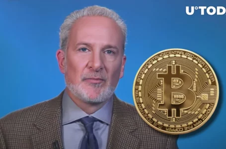 Peter Schiff Predicts Bitcoin (BTC) Price Will Plunge Back Below $18K