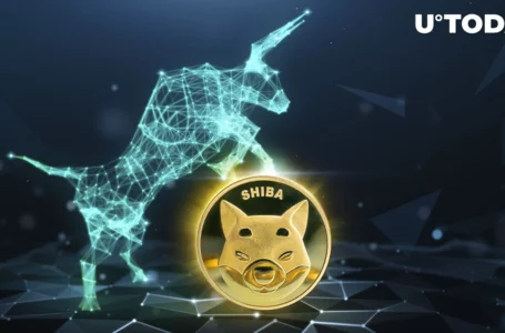 570 Trillion SHIB Tokens May Be Affected by 27% Price Spike, Here’s How