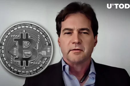 Self-Proclaimed Satoshi Craig Wright Sees No Bitcoin (BTC) Narrative Outside Pyramid and Ponzi Scheme