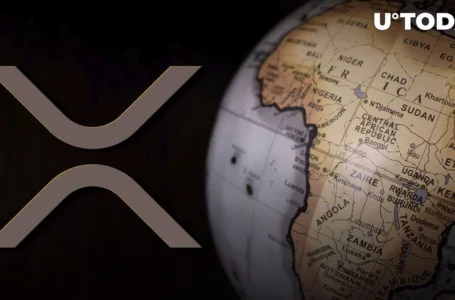 XRP Mentioned in UN Paper on Crypto in Africa: Details