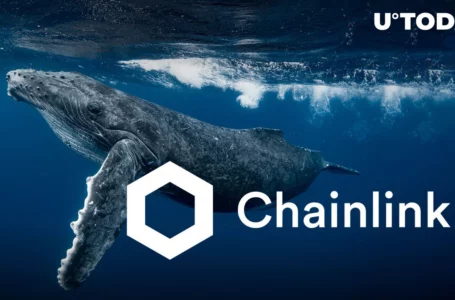 Are Whales Pushing Chainlink (LINK) Upward? Here’s What Data Shows