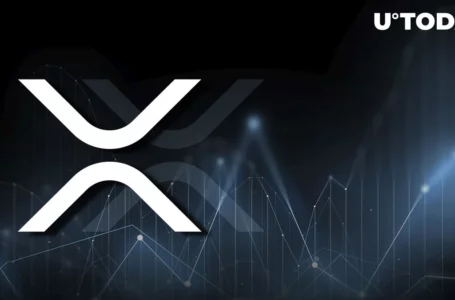 Suspicious XRP Clone Trending After Going up 400%: Scam Alert