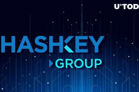 HashKey Capital Joins Most Active VC Firms’ Top League: Report