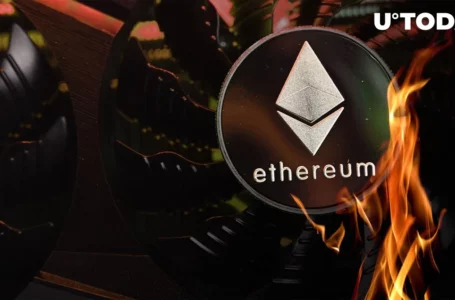 Ethereum Burn Goes Absolutely ‘Bananas’ as Both FUD and FOMO on Markets Emerge