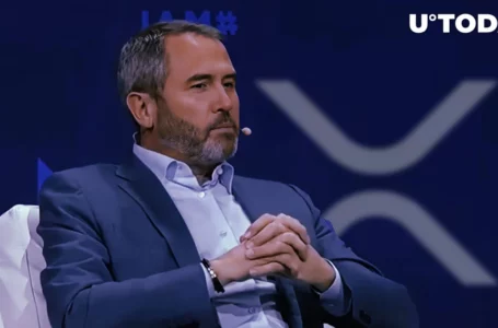 Huge XRP Transfers Occurred After Brad Garlinghouse’s Statement on XRP’s Importance