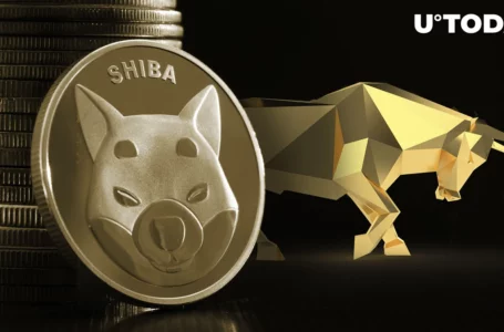 4 Shiba Inu (SHIB) On-Chain Indicators Flash ‘Bullish’ After Consolidation at $0.000011 Begins