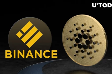 Cardano to Get Support of Binance’s BUSD Thanks to This Bridge