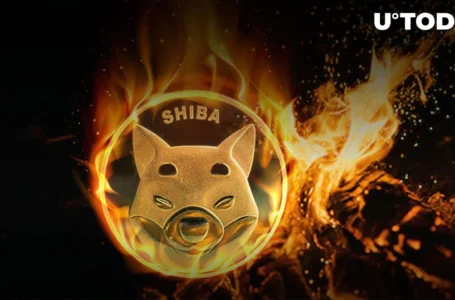 Millions of SHIB Get Burned as Shiba Inu Rises 50% in January