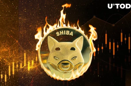 Shiba Inu Burn Rate at 1,000% Increase as More Than 110 Million SHIB Destroyed
