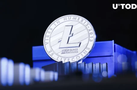 Litecoin (LTC) Eyes Enormous Whale Activity, Here Are 2 Major Reasons