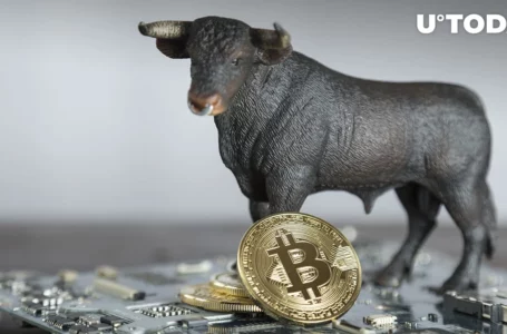 Bitcoin (BTC) Now шn Bull Phase, Here’s Why: CryptoQuant CEO