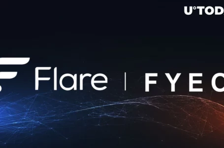 Flare (FLR) Partners with Security Expert FYEO for Audits