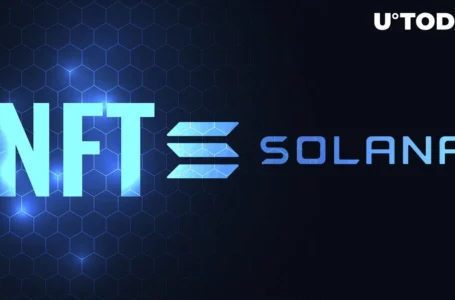 Solana (SOL) Migrating to New NFT Standard in Next 60 Days