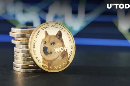 Dogecoin Adoption Expands, Here Are Businesses That Accept DOGE Now