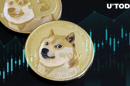 Dogecoin (DOGE) Knock-Off Suddenly Jumps 50%