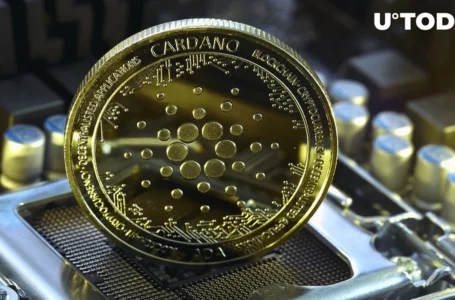 Cardano (ADA) Forms Crucial Support, Targets ‘Higher Highs’ from Here: Analyst