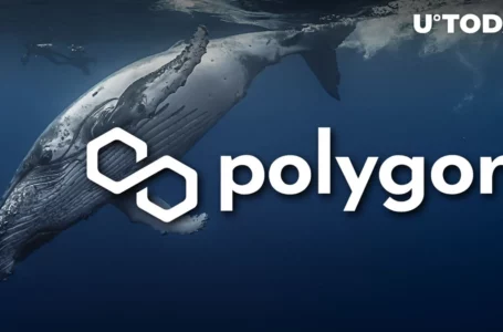 Millions of Polygon’s MATIC Sold by Unknown Whale Hours Before Price Fall
