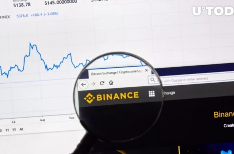 Freefall Alert: Beam (BEAM) Crashes After Binance Says Goodbye