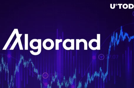 Algorand (ALGO) Records 15% Growth Following Major DeFi Milestone