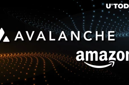 Avalanche (AVAX) and Amazon: Everything You Need To Know About This Partnership
