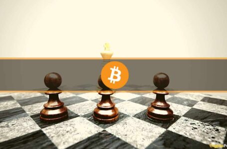 Bitcoin Dominance at 2-Month High as BTC Stands Firm Above $20K: Weekend Watch