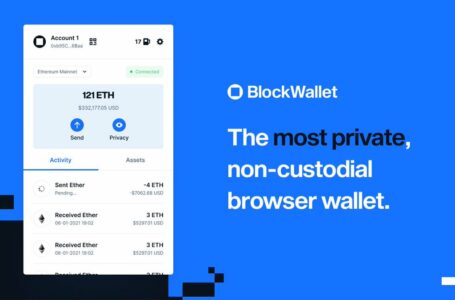 Crypto BlockWallet (BLANK) Review: The Most Private and Non-Custodial Browser Extension Wallet