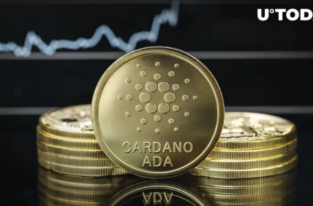 Cardano (ADA) Lifts Off by 7.7%, What Are Top Milestones to Watch?