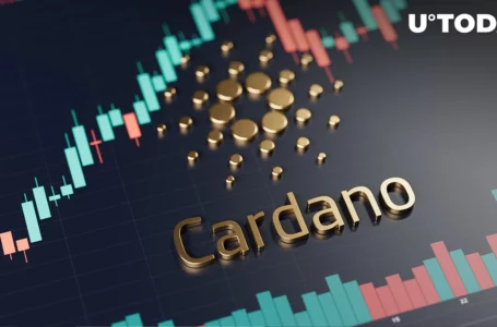Cardano (ADA) Prints 22% Weekly Growth, Top Reason Powering Its Growth