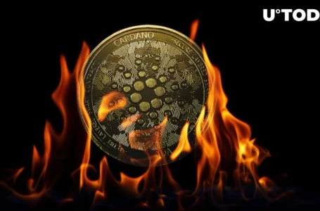 Cardano (ADA): Can Token Burns Drive up Price?