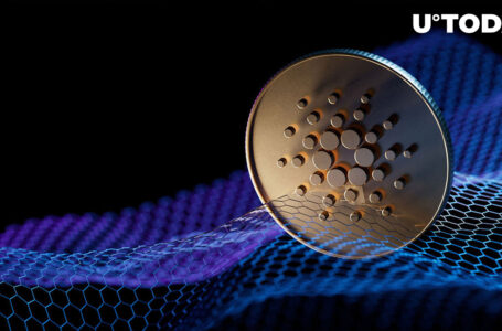 Cardano (ADA) Expects to Make Three Major Releases in 2023