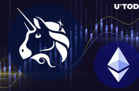 Check out How Uniswap Gets Some of Ethereum’s Biggest Liquidity