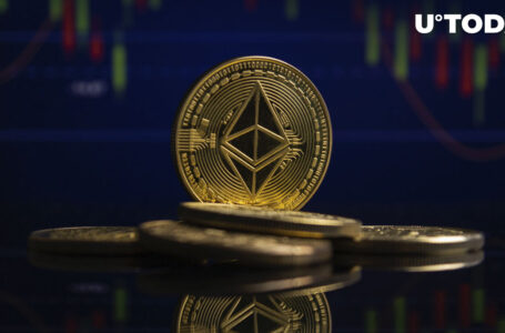 Ethereum Addresses in Profit Tops Monthly High of 51%, What Was Trigger?