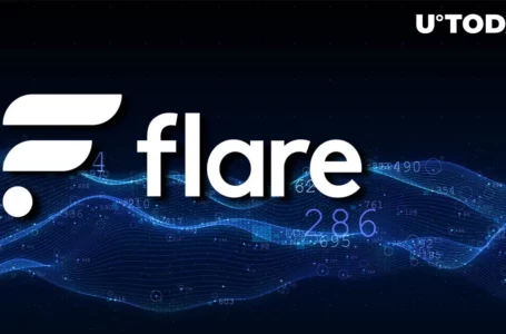 Flare (FLR) Maintains 17% WTD, Here Are 3 Reasons Boosting Price