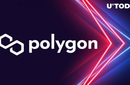 Polygon (MATIC) Makes Updates to Its Staking, Find Out What Changes