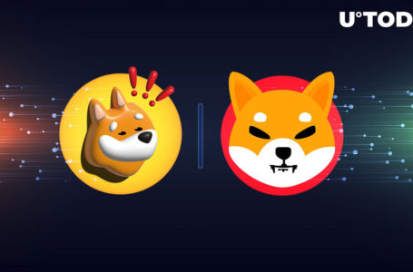 Shiba Inu (SHIB) vs Bonk (BONK): Who Wins This Hype Battle?