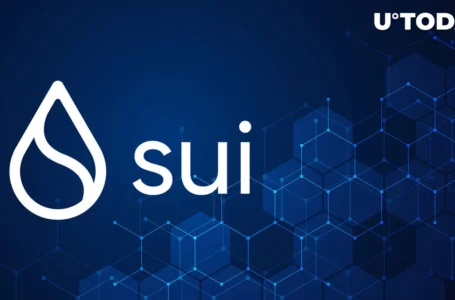 Sui Network Inches Closer to Its Long-Awaited Launch with This New Protocol Upgrade
