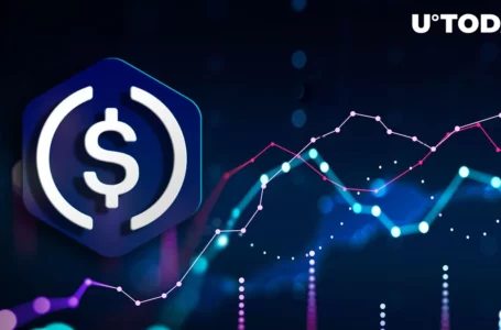 USDC Outpaces USDT’s Transfer Volume, Check Out What’s Happening