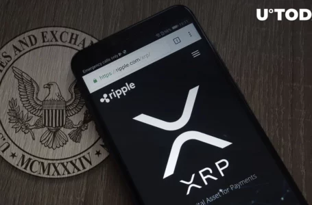 Ripple Attorney Lends Further Argument on Why SEC Is Wrong About XRP: Details