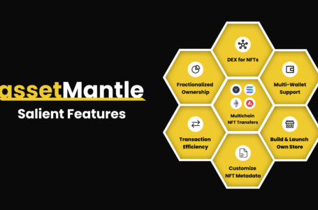 AssetMantle Project (MNTL): A Multi-Tenant NFT Marketplace Framework
