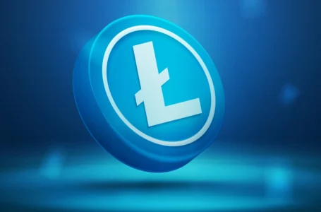 Litecoin to Undergo Block Reward Halving in Just Over 200 Days, First Among Major PoW Cryptocurrencies