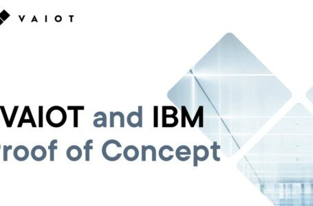 Vaiot IBM Crypto Project Review 2023