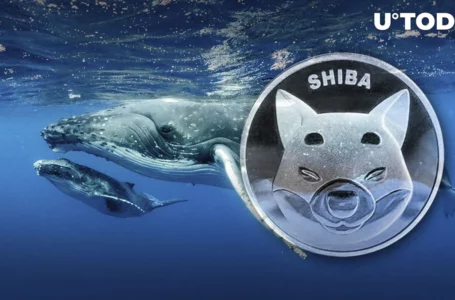 Whopping 3.96 Trillion Shiba Inu (SHIB) Added by Whales in Just One Week
