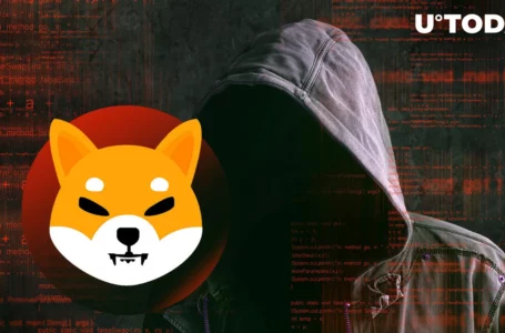 Shibarium Scam Website Targets Shiba Inu (SHIB) Users’ Wallets: Details